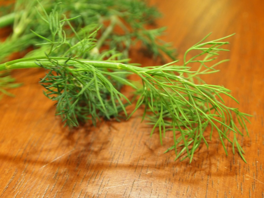 fresh dill