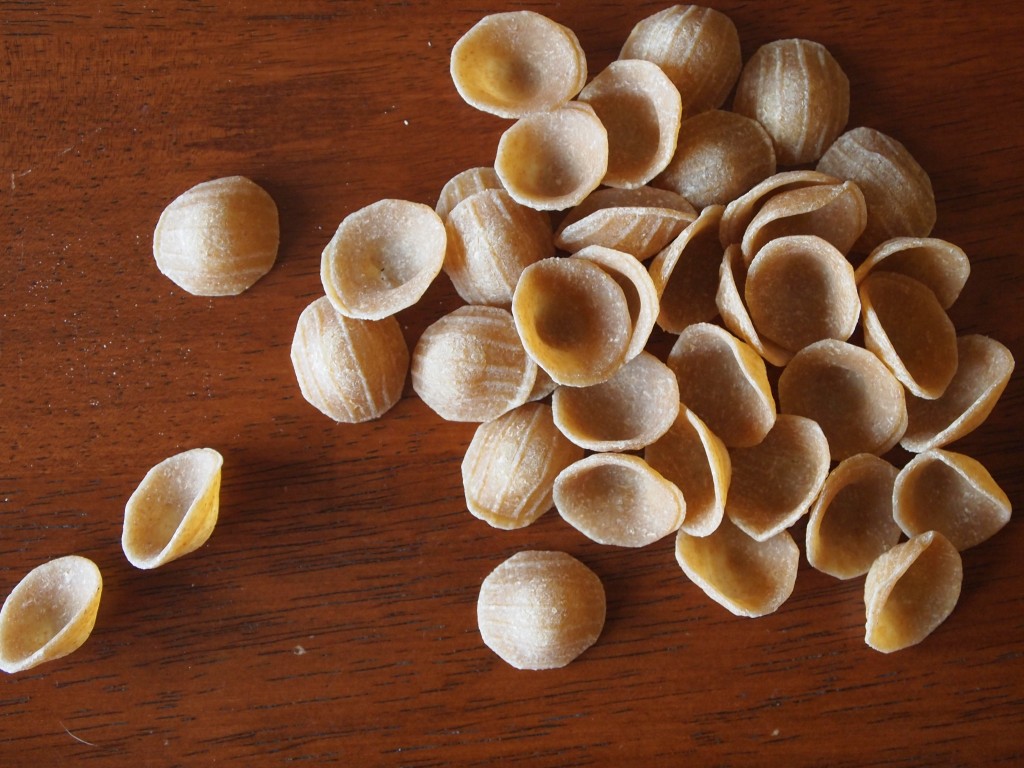 whole wheat orecchiette