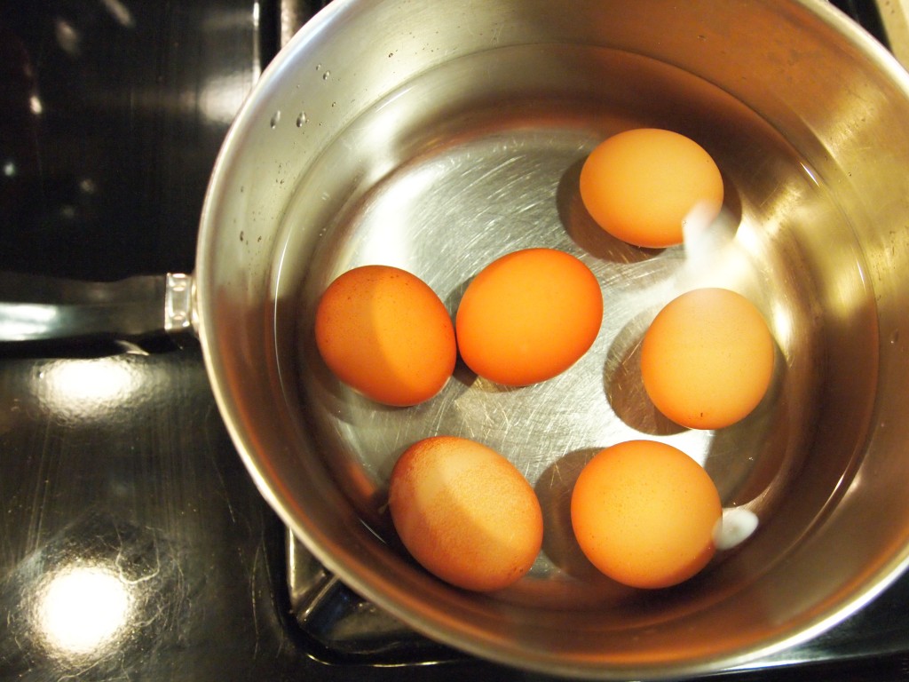 eggs for boil