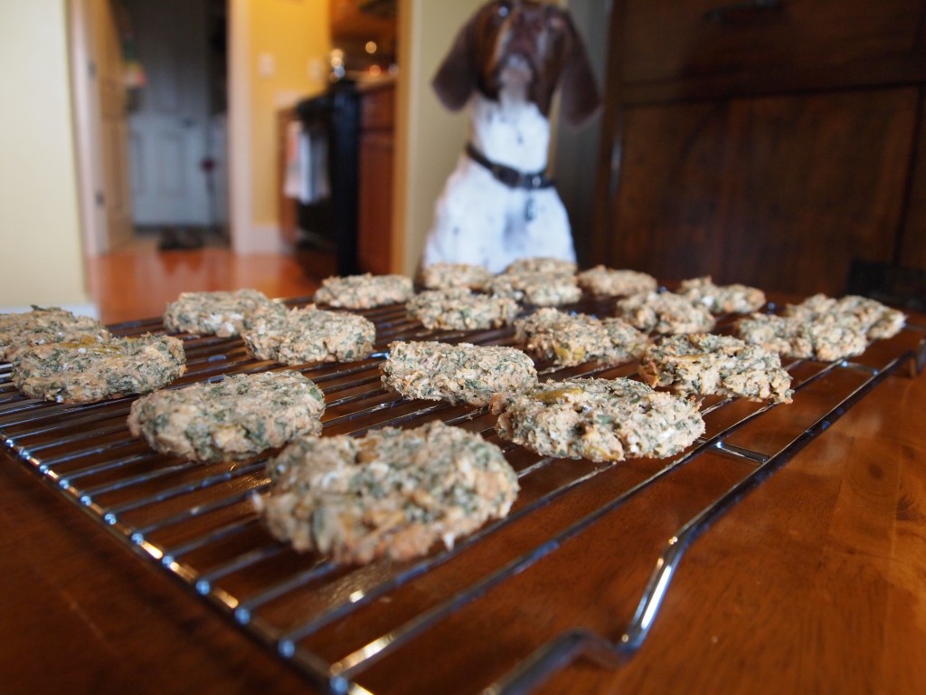almond butter apple doggy cookies