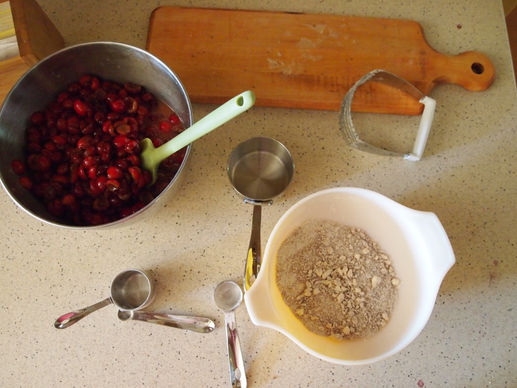 sour cherries and streusel